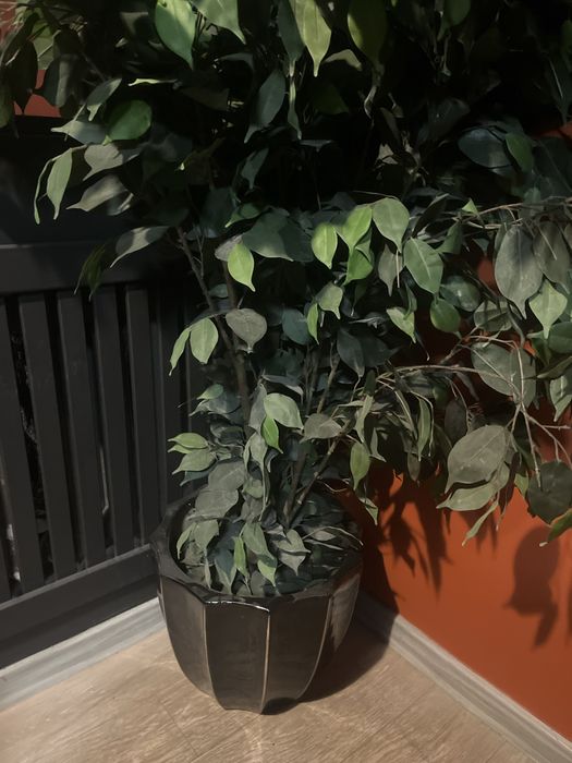 Вазоны керамические