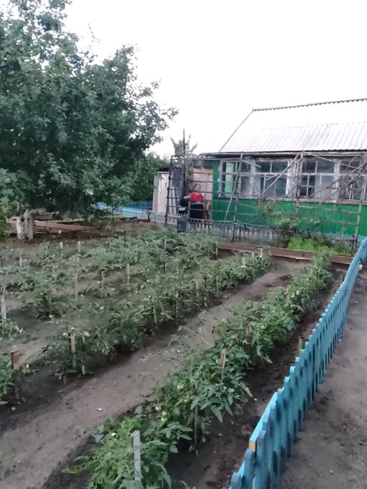 Дача садоводство!