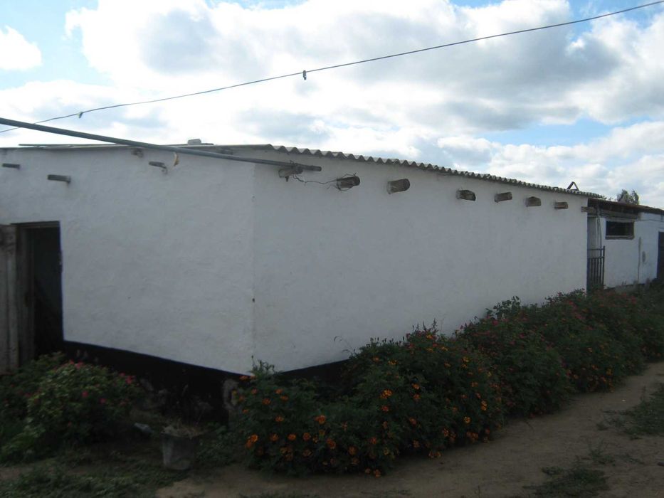 продам два дома в с. Новоямышево