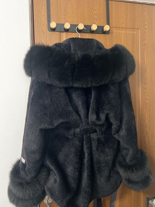 Blana Alcantara si Vulpe