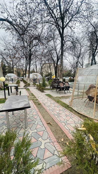 Tayyor kapsulalar sotiladi.