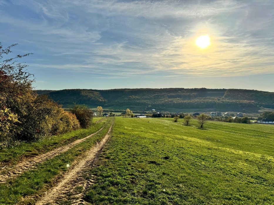 Teren intravilan 5487 mp în localitatea Betfia, comuna Sânmartin