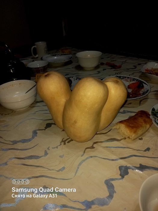 Асқабақ   тыква   сатылады