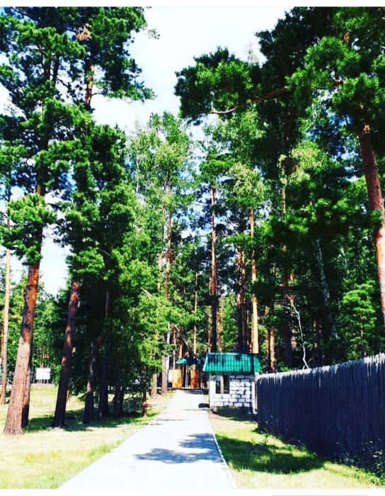 Коттедж в Сосновом бору