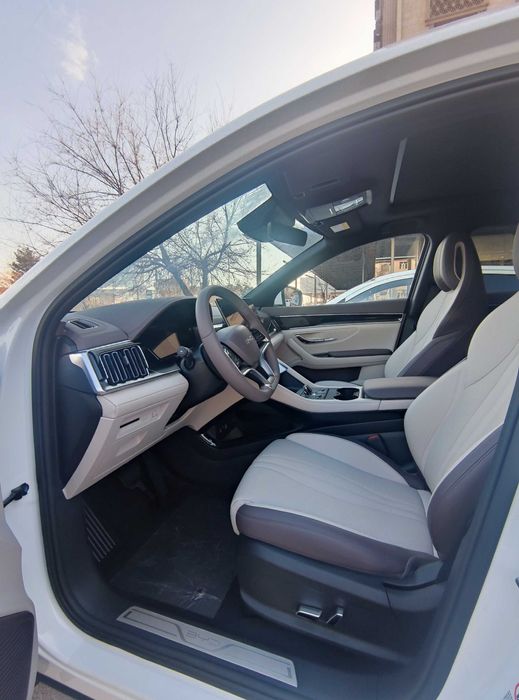 BYD Chempion 2025 model