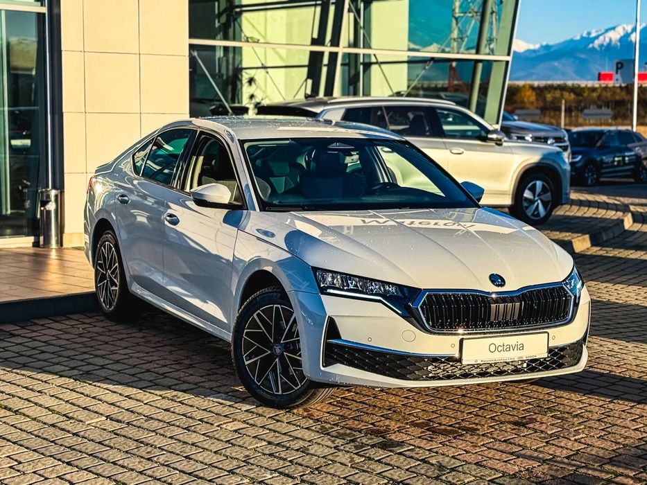 Skoda Octavia OCTAVIA Selection 2.0 TDI 150CP DSG - pachet de drumuri grele