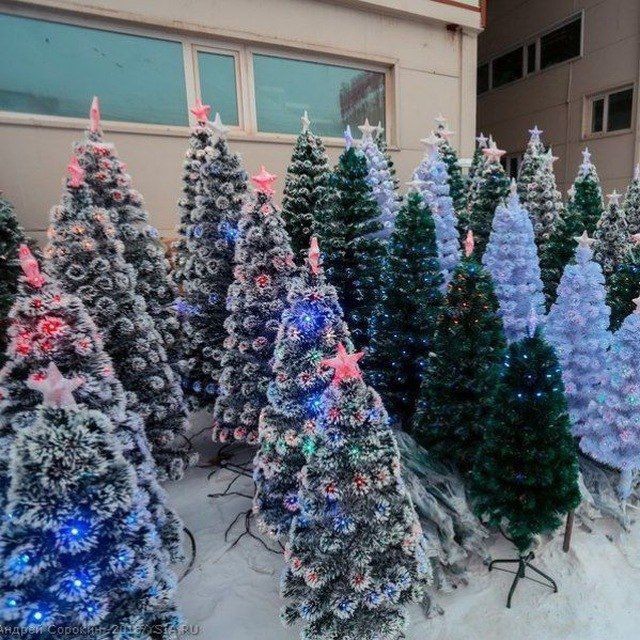 Ёлки ёлки ёлки акция скидки