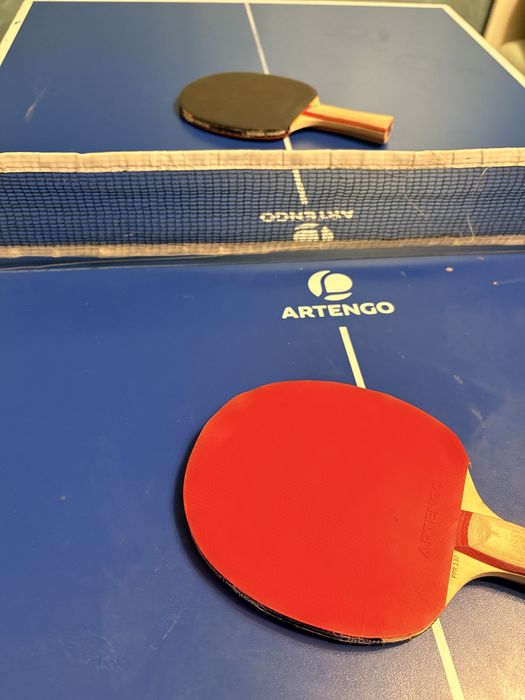 Tenis de masa interior