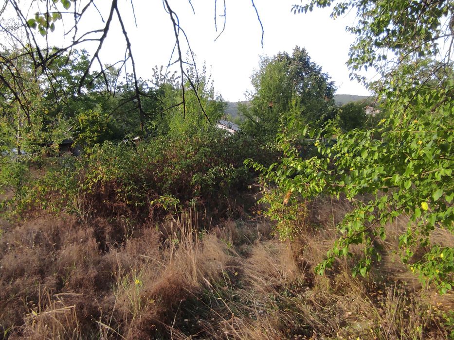 Продава се Парцел в с. Сърнегор, Област Пловдив - 433 кв.м за 18 €/кв.м - Снимка #5