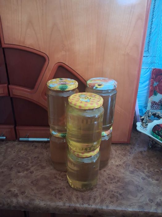 Vând sau schimb miere și roiuri albine cu lăzi si rame