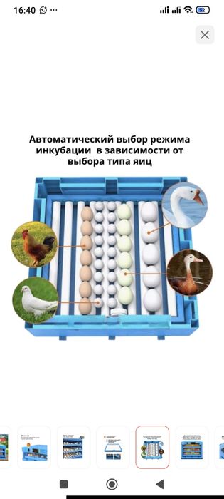 Умный  инкубатор