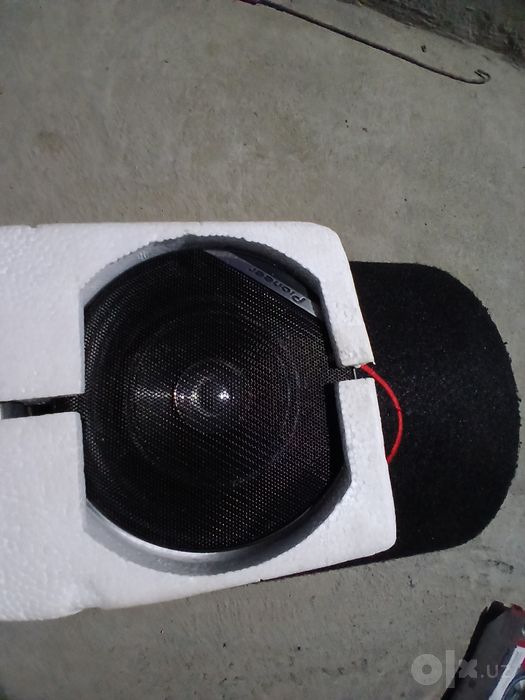 Pioneer kalonka 10 sm lik