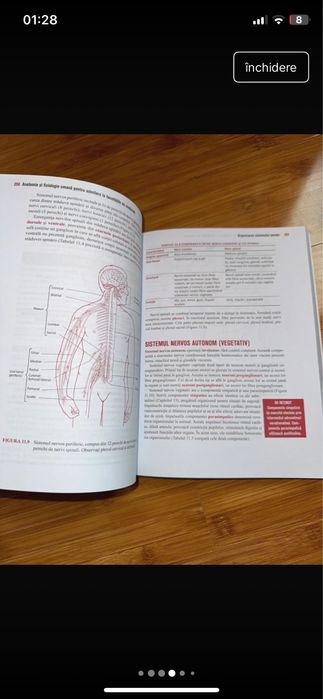 Barrons Anatomie si fiziologie umana 2022