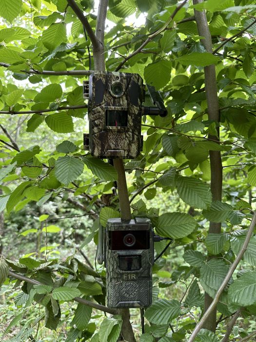 ForestCamLive F1R 4G Camera Vanatoare Live