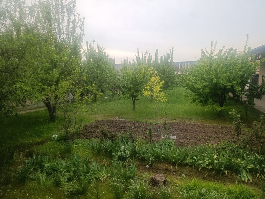 Toshkent tumani Kelesda hovli sotiladi