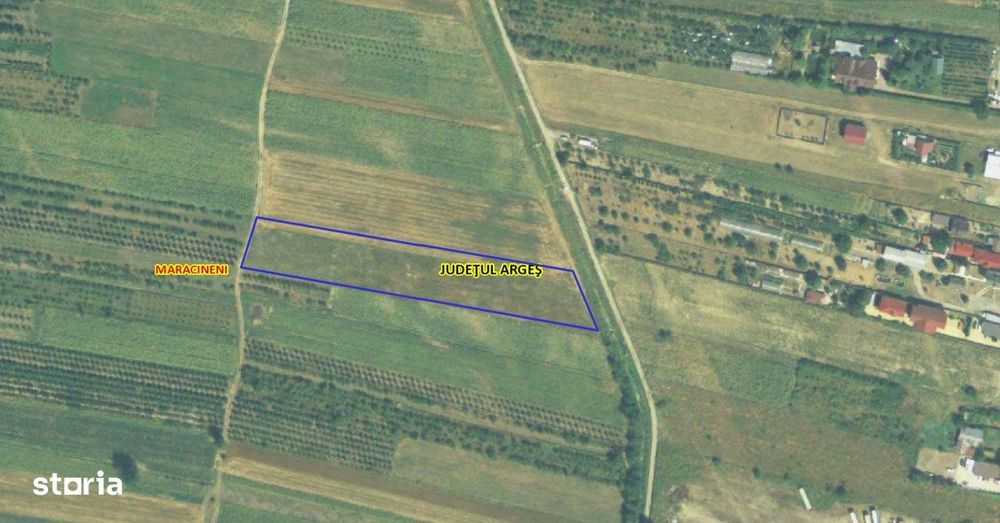 Teren intravilan 7.545 mp in Maracineni – ideal rezidential sau hale