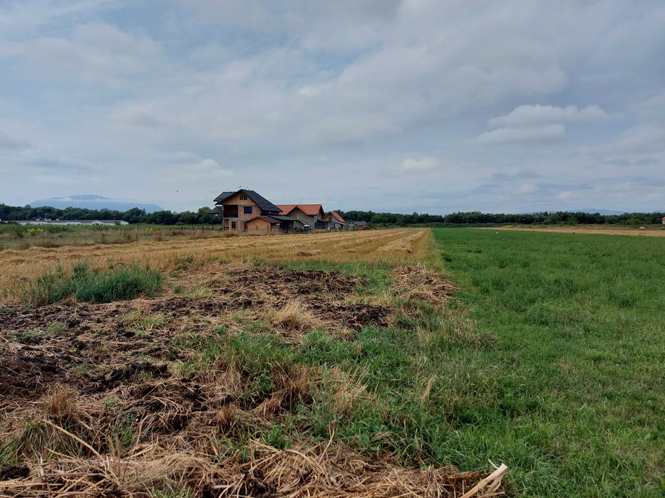 Vand teren 2000 mp in Brasov.