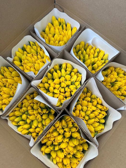 От 600 тенге Предзаказ Тюльпаны к 8 Марта