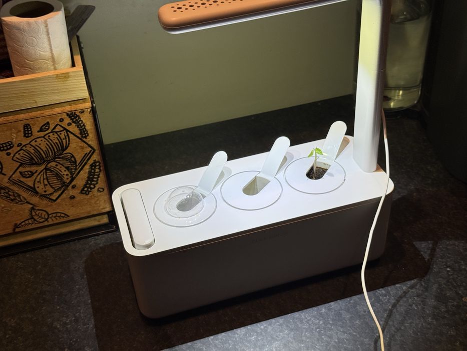 Click and Grow смарт саксия