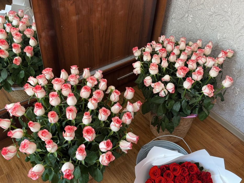 Продаю цветы купленные вчера вечером