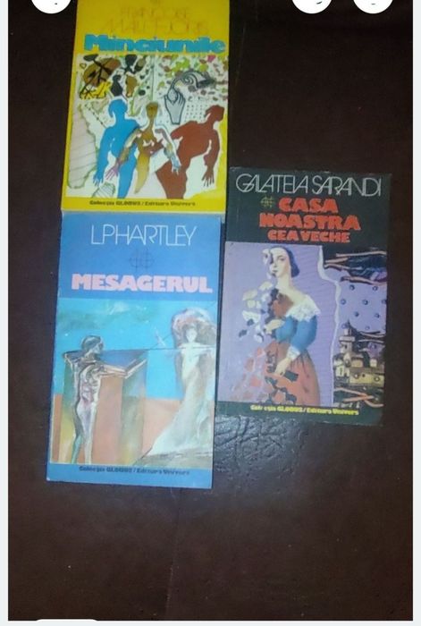 Romane de succes pt intelectuali