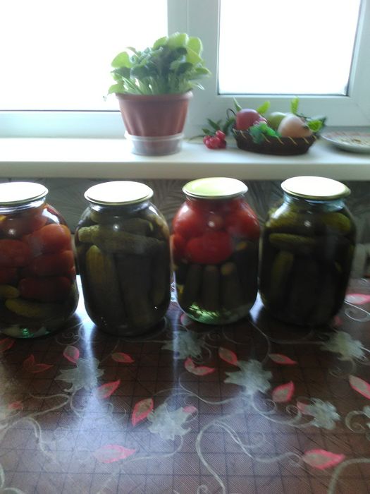 Огурцы маринованные