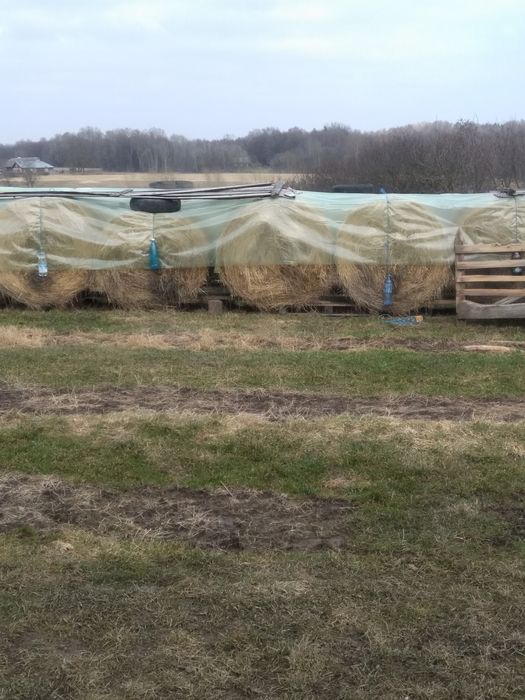 Baloți de fân din 2025