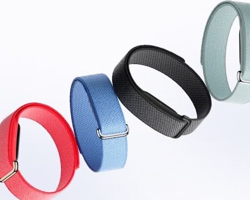 Google fitbit air
