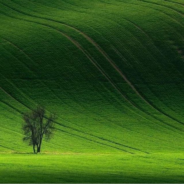 газон экиш полив система