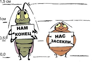 100%-ое Уничтожение любых нaсекомых. Честная гaрaнтия.