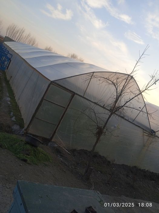 Parnik issiqxona sotiladi