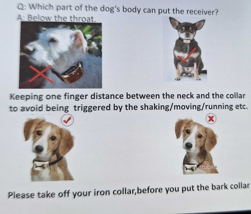 Zgarda Antilatrat pt caini