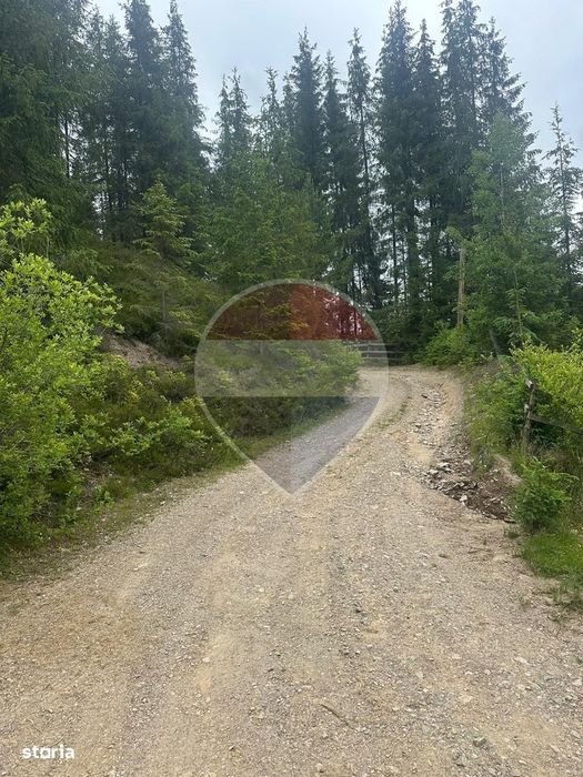 Teren 2,42 ha in Poiana Horea | Cadru montan | Potential turistic