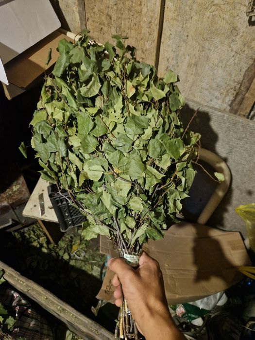 Продам Банные веники