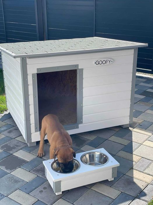 Cusca Caine Izolata Alba cu Profile Anti Ros Gri Si Suport Mancare