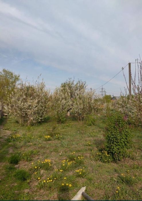 Продам дом за 15 млн