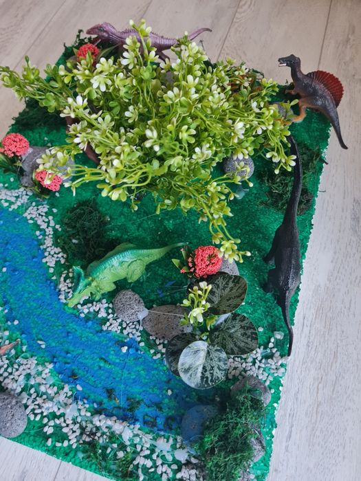 Proiect biologie (clasa a V-a)