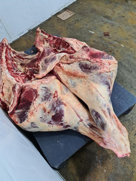 Говядина халал оптом