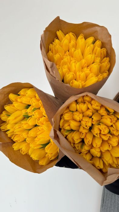 тюльпаны ОПТОМ от 600 тг