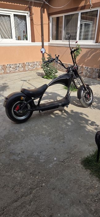 Scuter Electric Chopper Mangosteam
