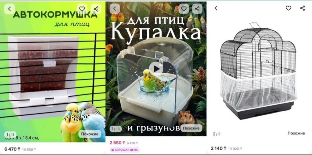 Попугаи с клеткой