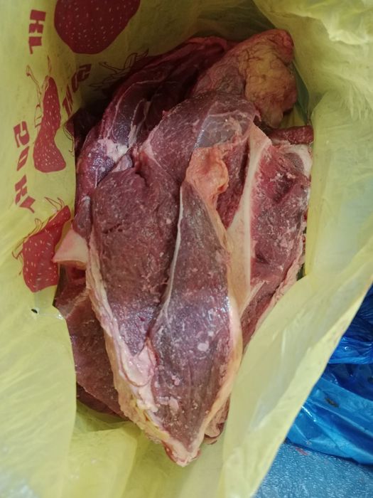 Продам мясо говядина