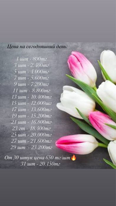 Тюльпаны на 6,7,8 марта