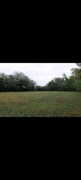 Vând teren intravilan Ruginoasa, Iași