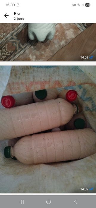 Сатамын Қара-құрт Продам курт