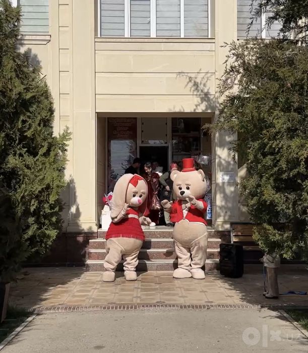Ayiqchalar teddy