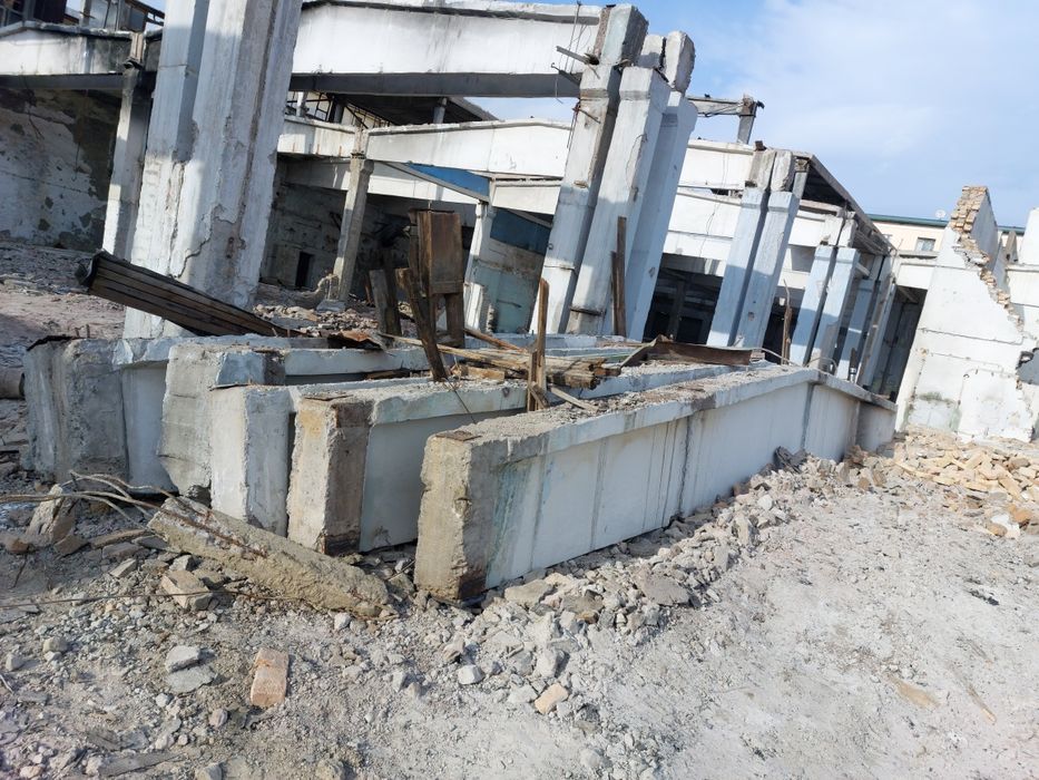 Pilta bor           .