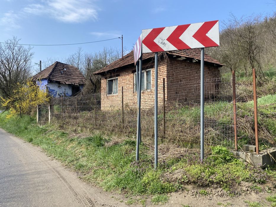 Servicii Profesionale de tuns iarba si Defrisare -Rapid ,Eficient
