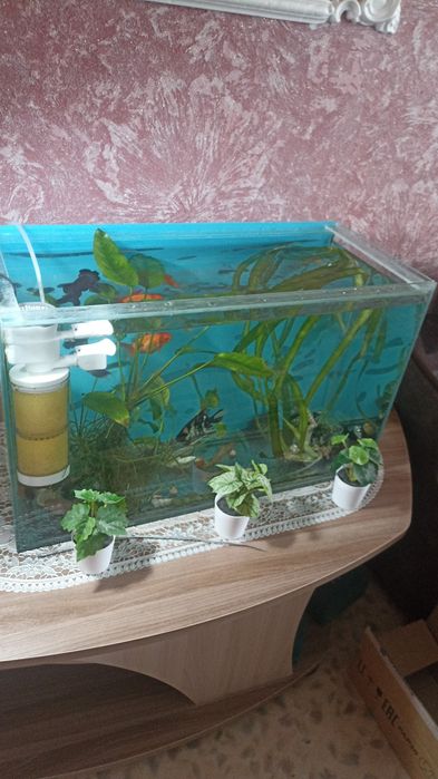 Продаётся аквариум