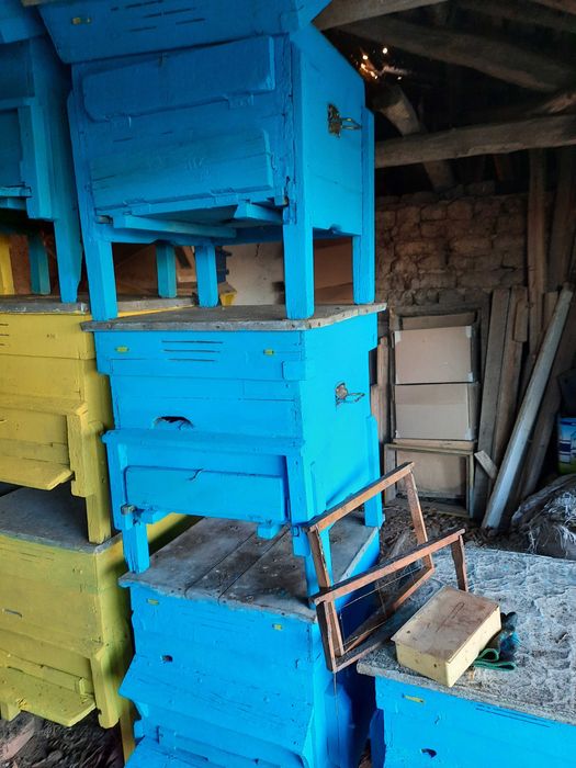 кошери 12 рамкови ДБ